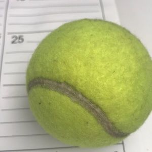 Meet your Posher, Sue